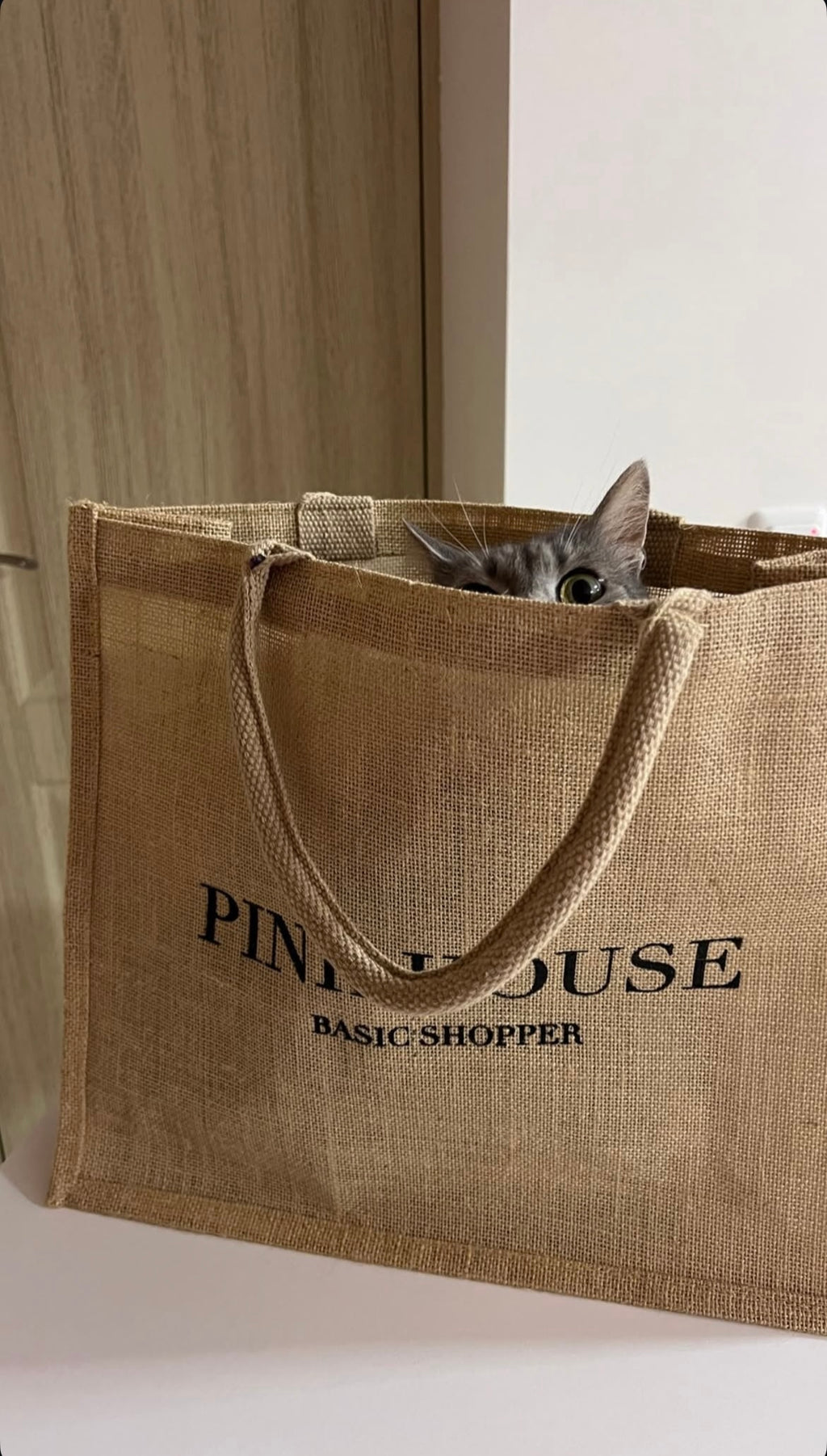 Шопер Pink House