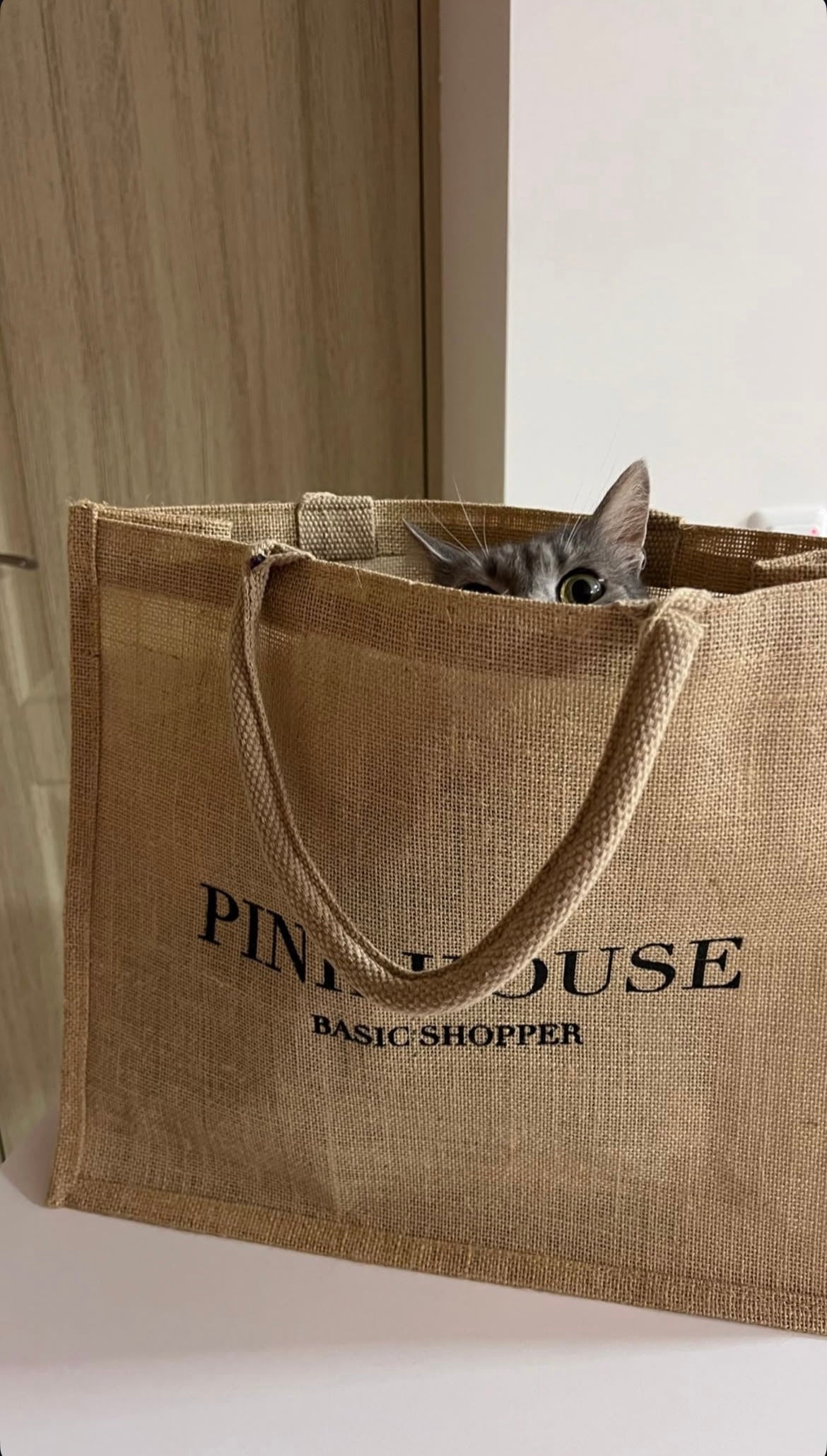 Шопер Pink House