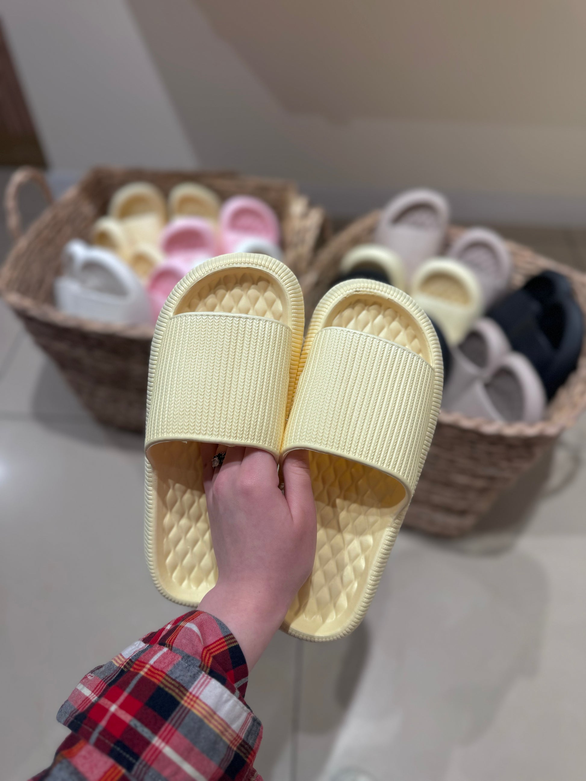 Сланці